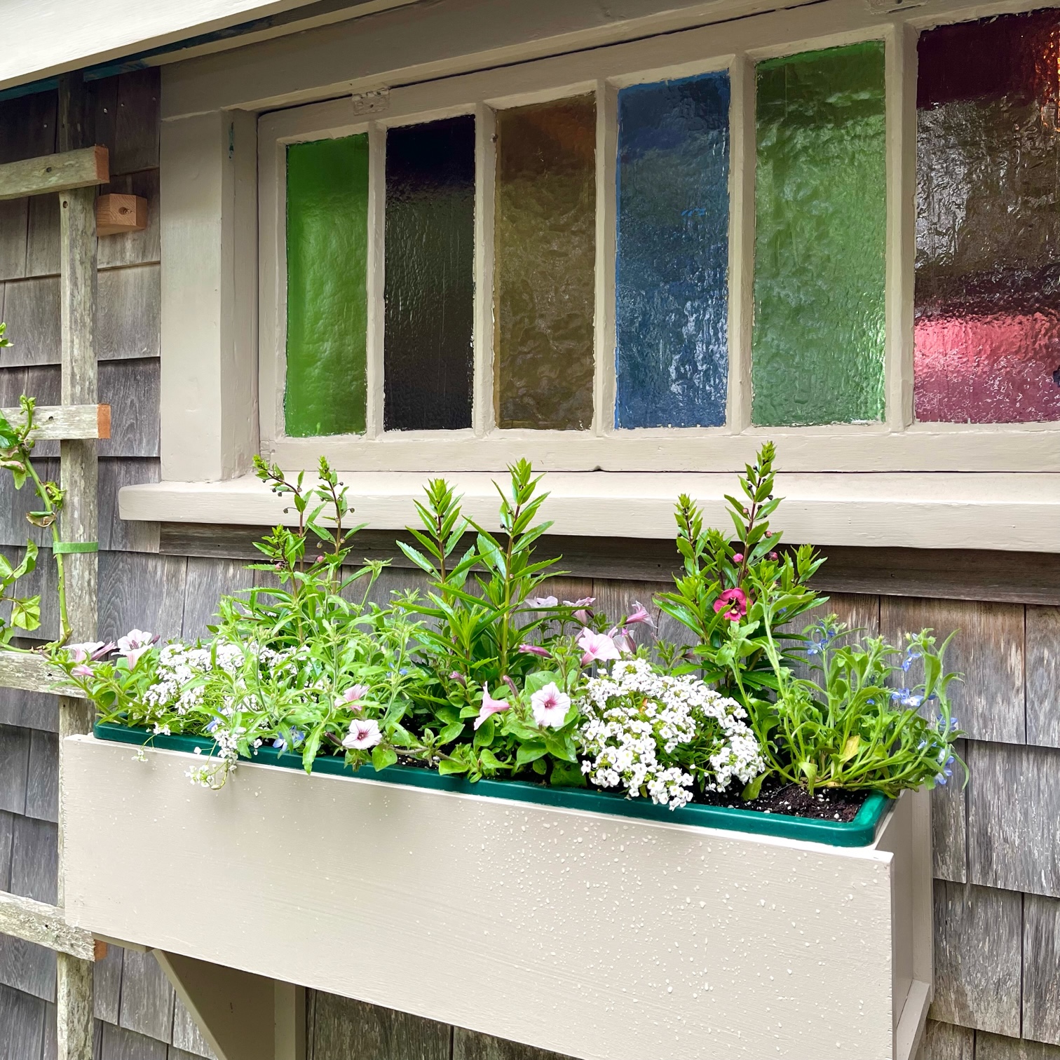3 Cottage Avenue Picture # 16